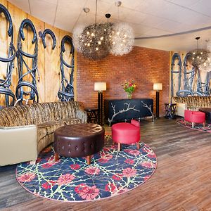 Hotel Indigo Cleveland Beachwood By Ihg